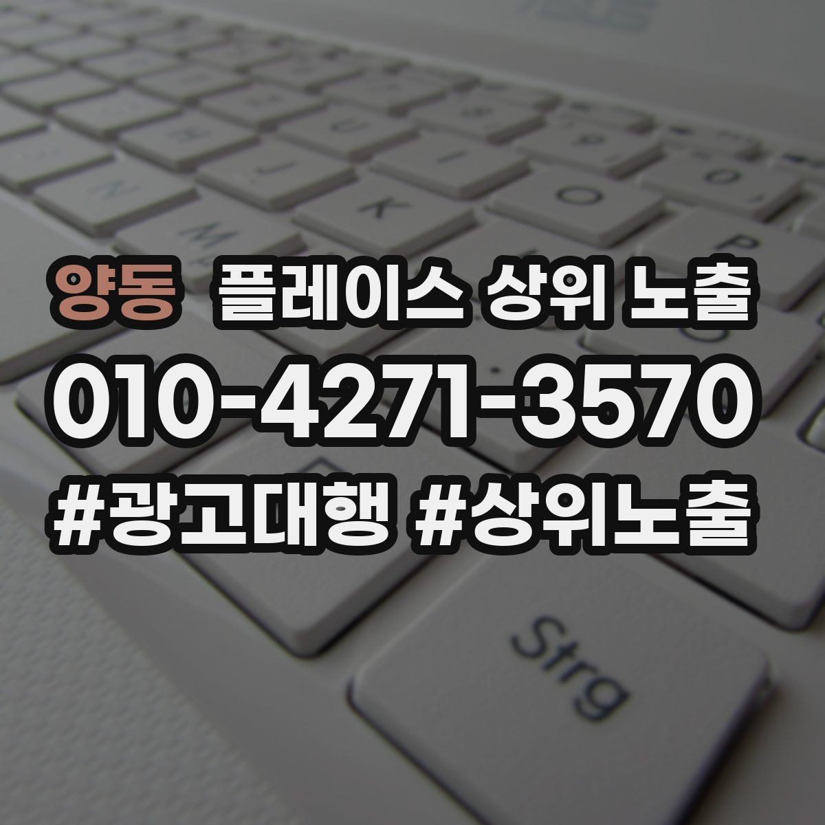 양동 플레이스 상위 노출 전화 버튼이 잘 먹히는 업종 특징