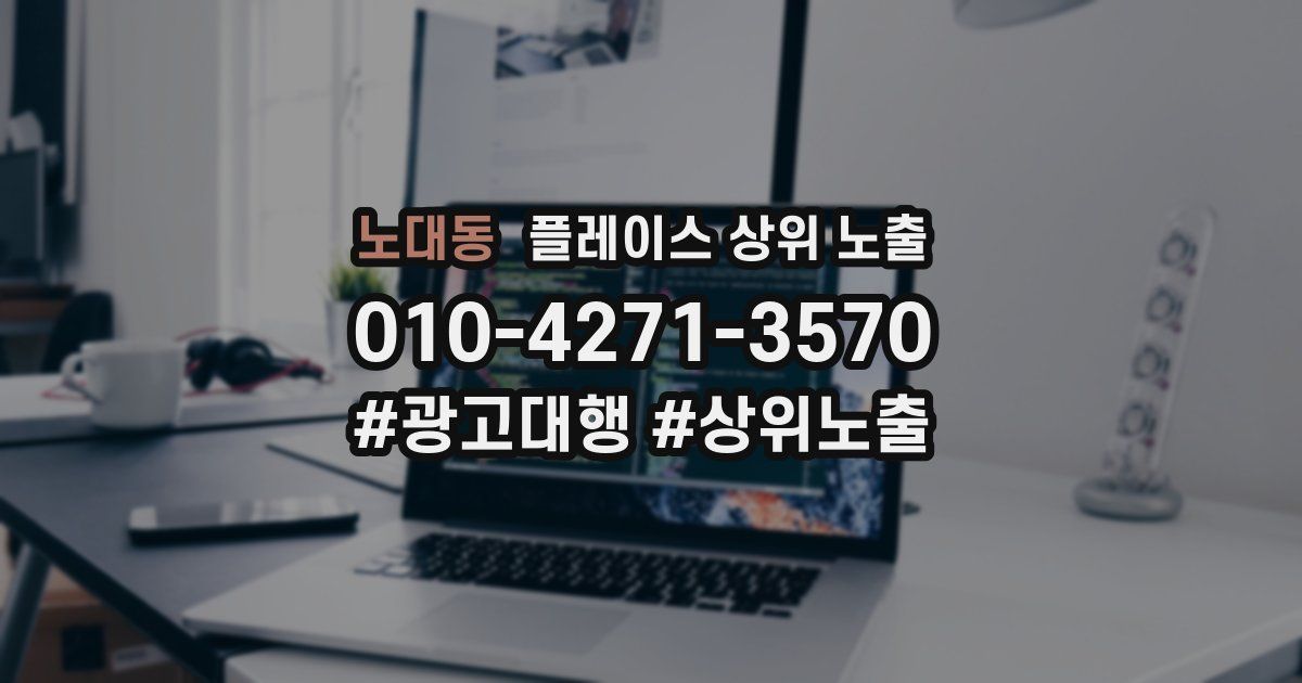 노대동 플레이스 상위 노출