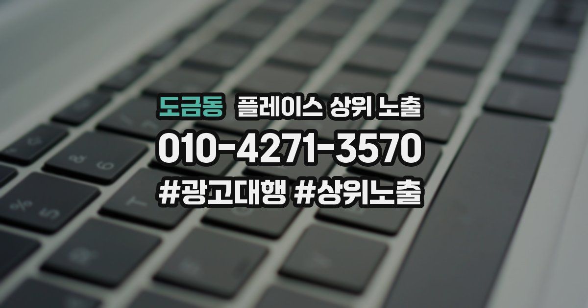 도금동 플레이스 상위 노출