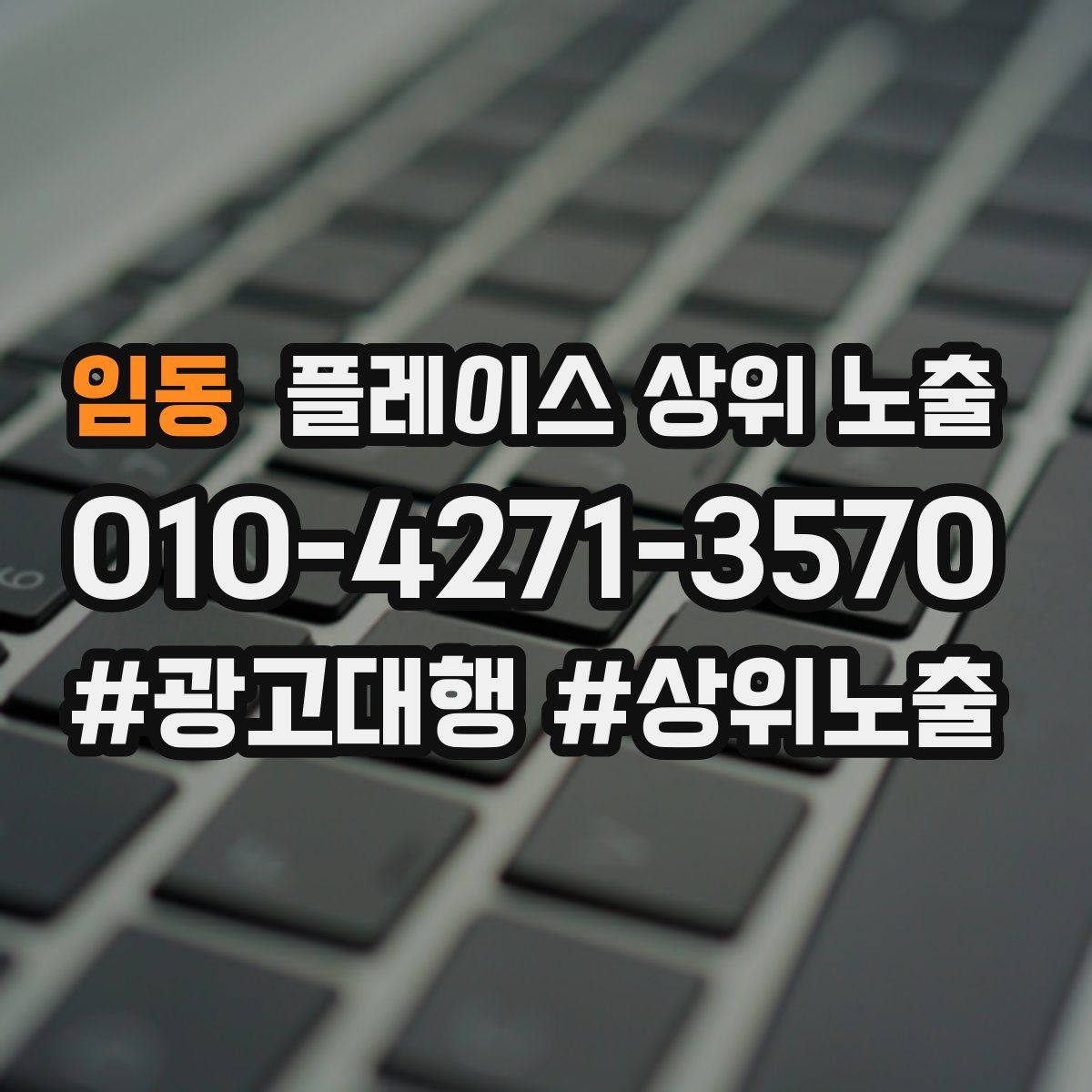 임동 플레이스 상위 노출