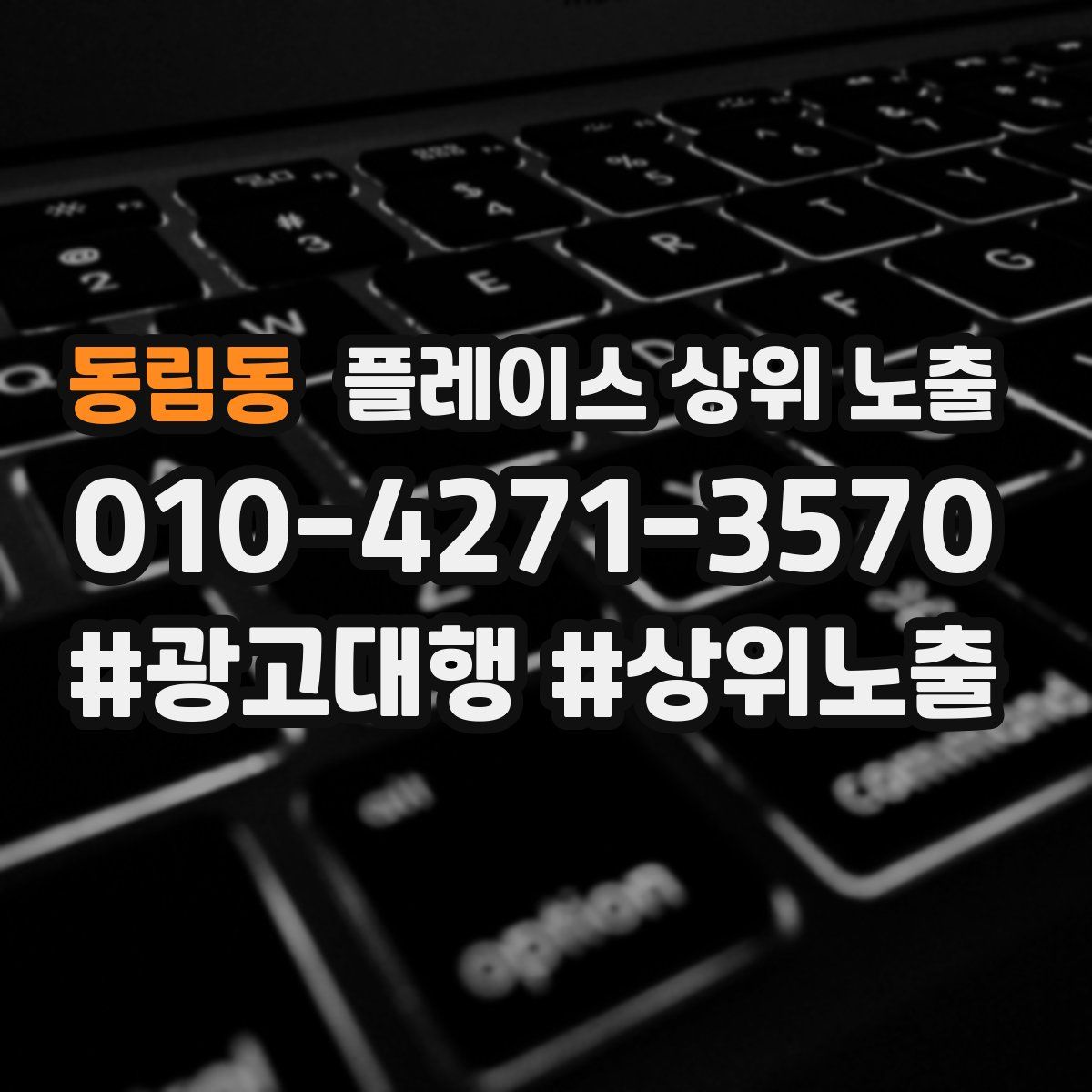동림동 플레이스 상위 노출