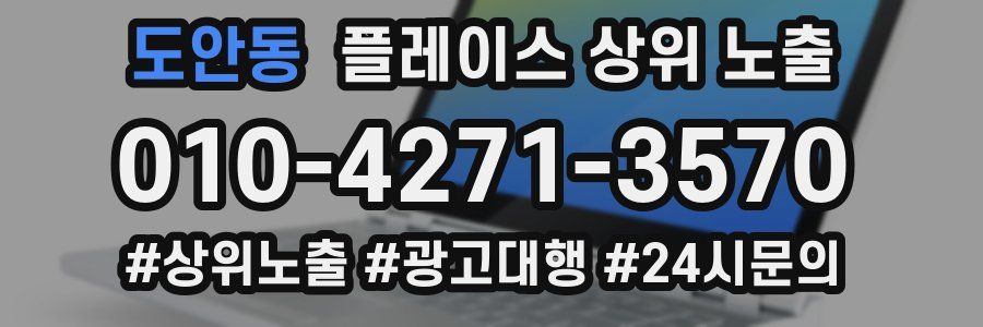 도안동 플레이스 상위 노출