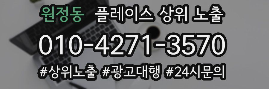원정동 플레이스 상위 노출