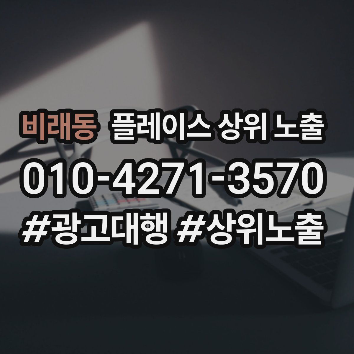 비래동 플레이스 상위 노출