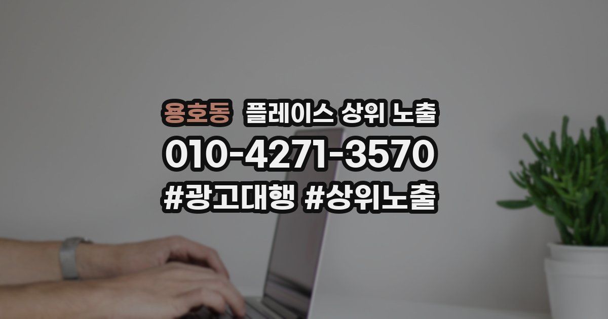 용호동 플레이스 상위 노출