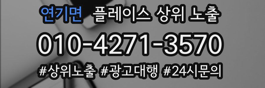 연기면 플레이스 상위 노출
