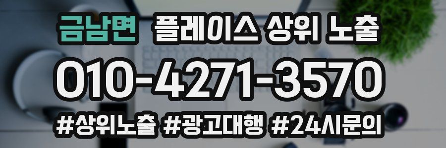 금남면 플레이스 상위 노출