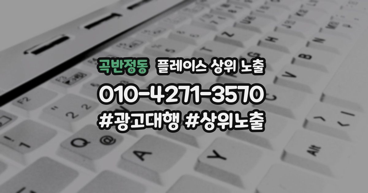 곡반정동 플레이스 상위 노출