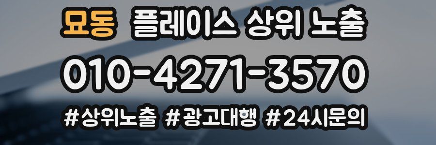 묘동 플레이스 상위 노출