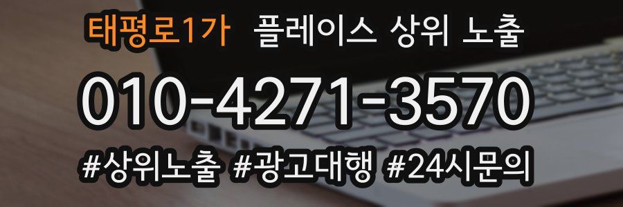 태평로1가 플레이스 상위 노출