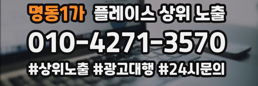명동1가 플레이스 상위 노출