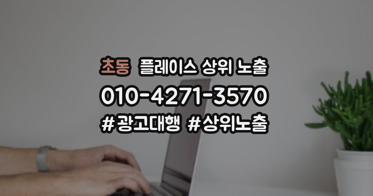 초동 플레이스 상위 노출