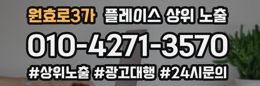 원효로3가 플레이스 상위 노출