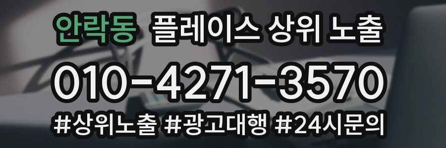 안락동 플레이스 상위 노출