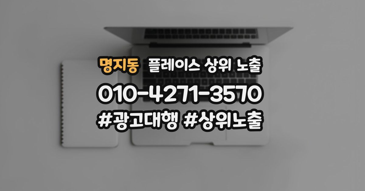 명지동 플레이스 상위 노출
