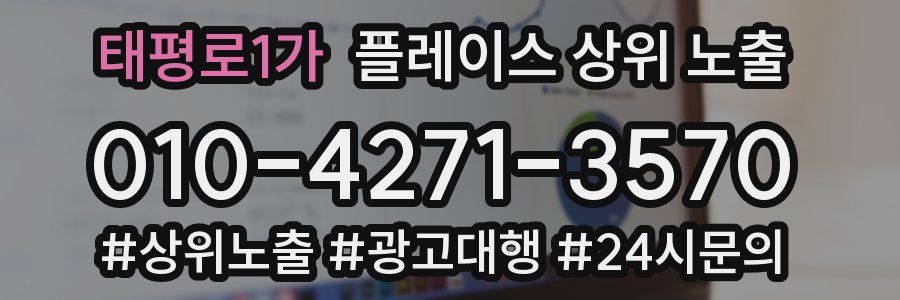 태평로1가 플레이스 상위 노출