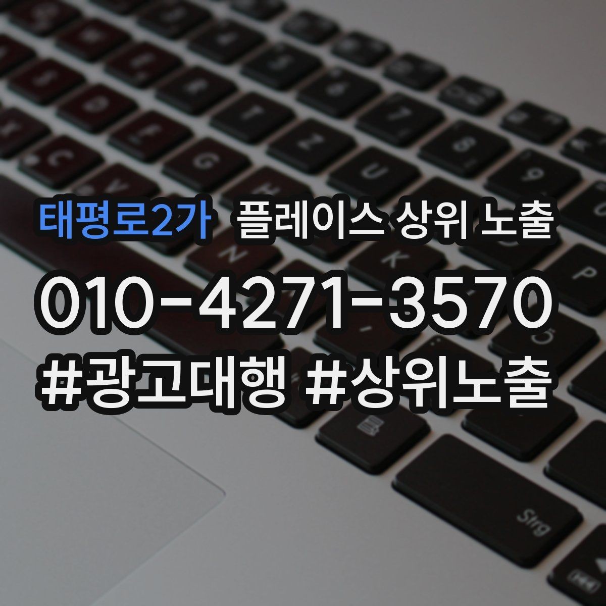 태평로2가 플레이스 상위 노출 가능/불가능 기준을 적는 팁