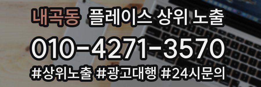 내곡동 플레이스 상위 노출