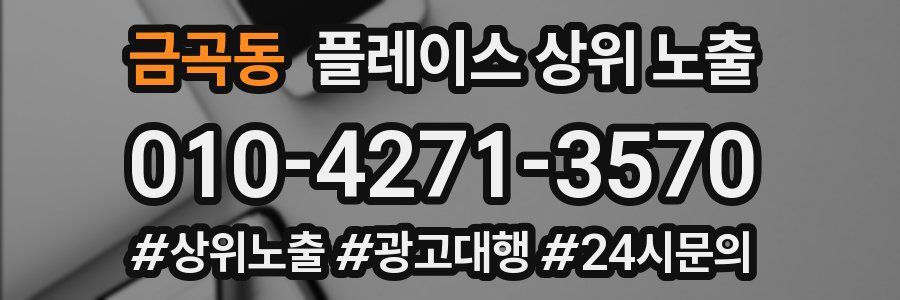 금곡동 플레이스 상위 노출