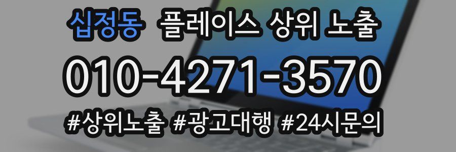 십정동 플레이스 상위 노출