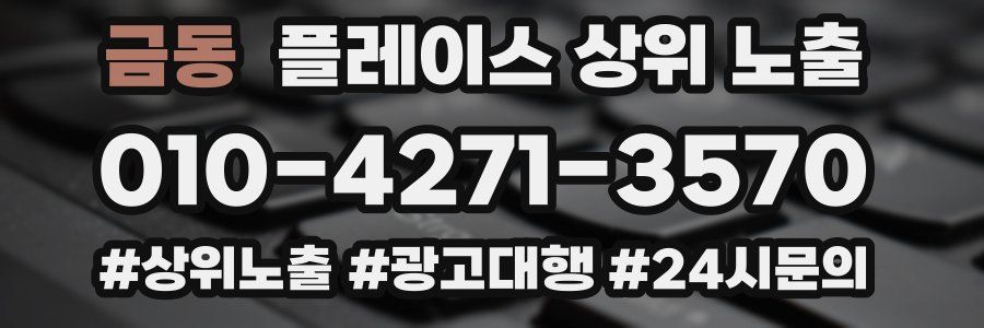 금동 플레이스 상위 노출