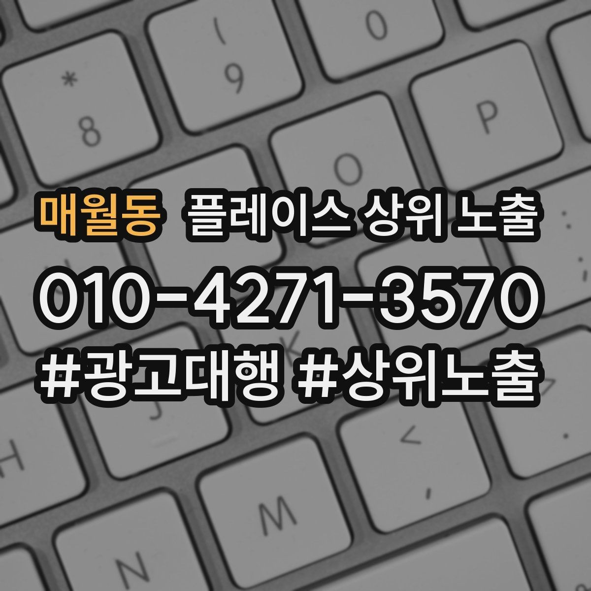 매월동 플레이스 상위 노출 주소 지도 핀 오류로 순위가 흔들리는 이유