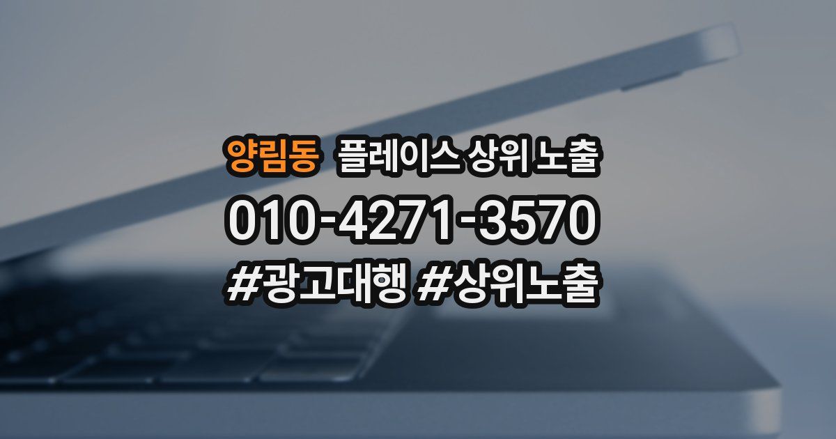 양림동 플레이스 상위 노출