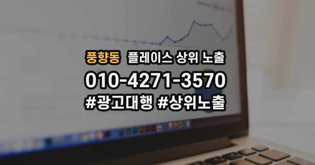 풍향동 플레이스 상위 노출
