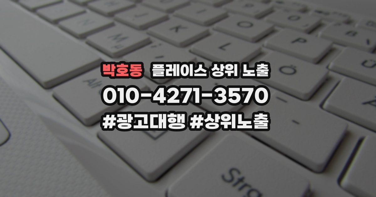 박호동 플레이스 상위 노출