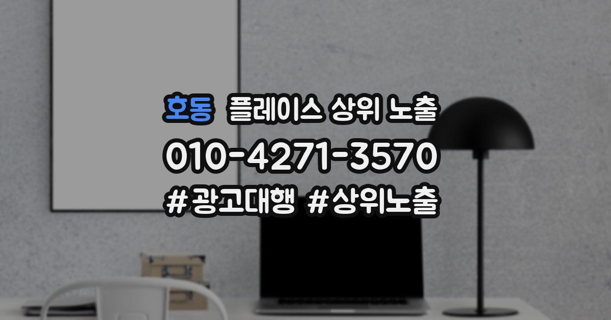 호동 플레이스 상위 노출