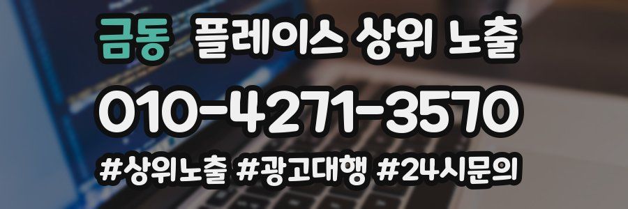 금동 플레이스 상위 노출