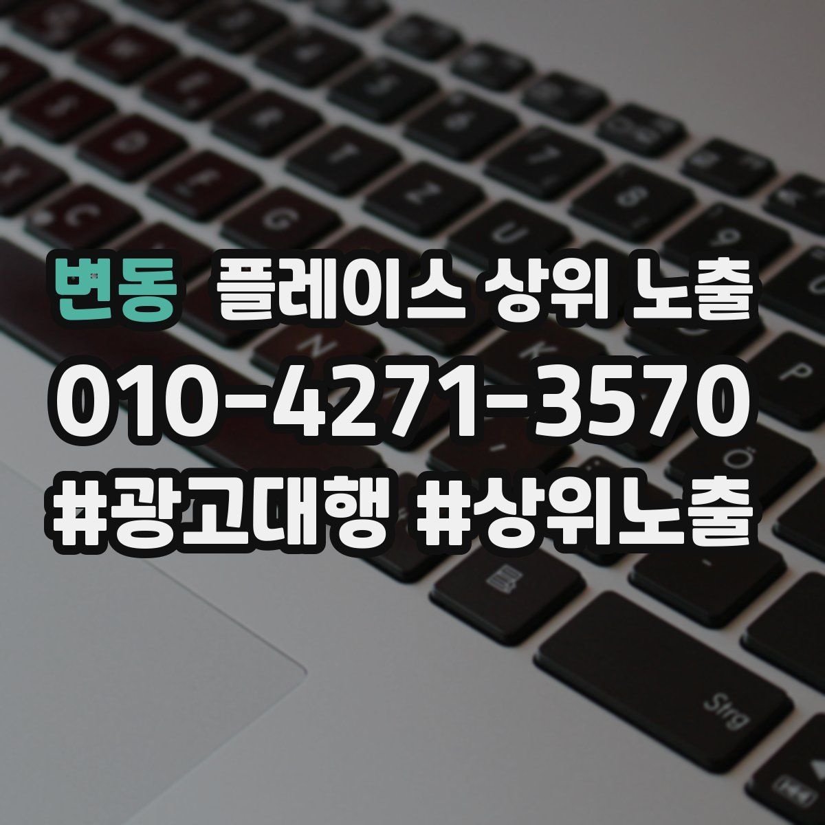 변동 플레이스 상위 노출