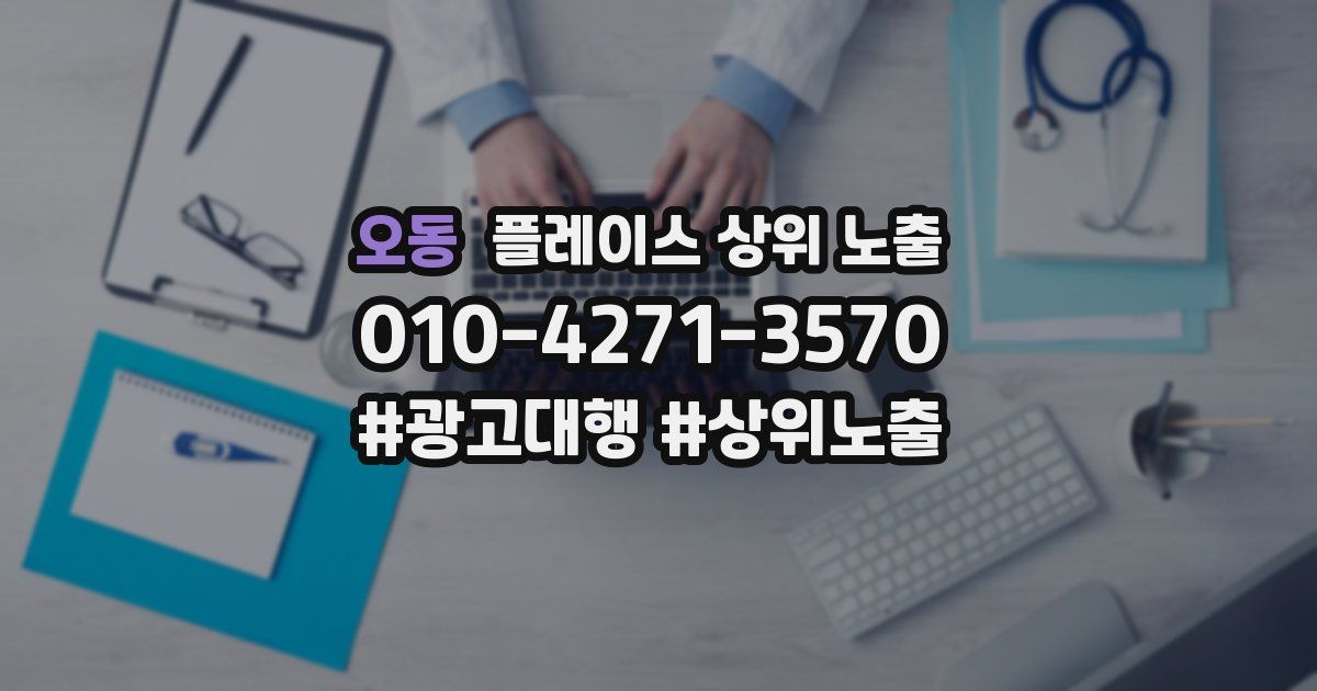 오동 플레이스 상위 노출