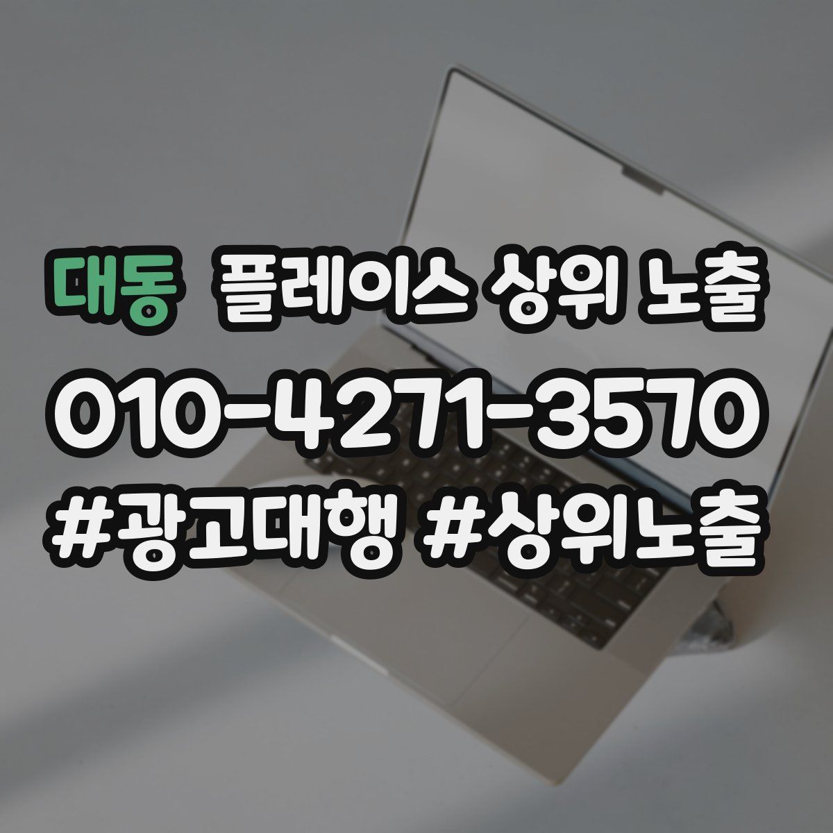 대동 플레이스 상위 노출