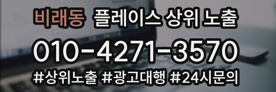 비래동 플레이스 상위 노출