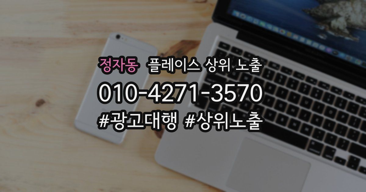 정자동 플레이스 상위 노출