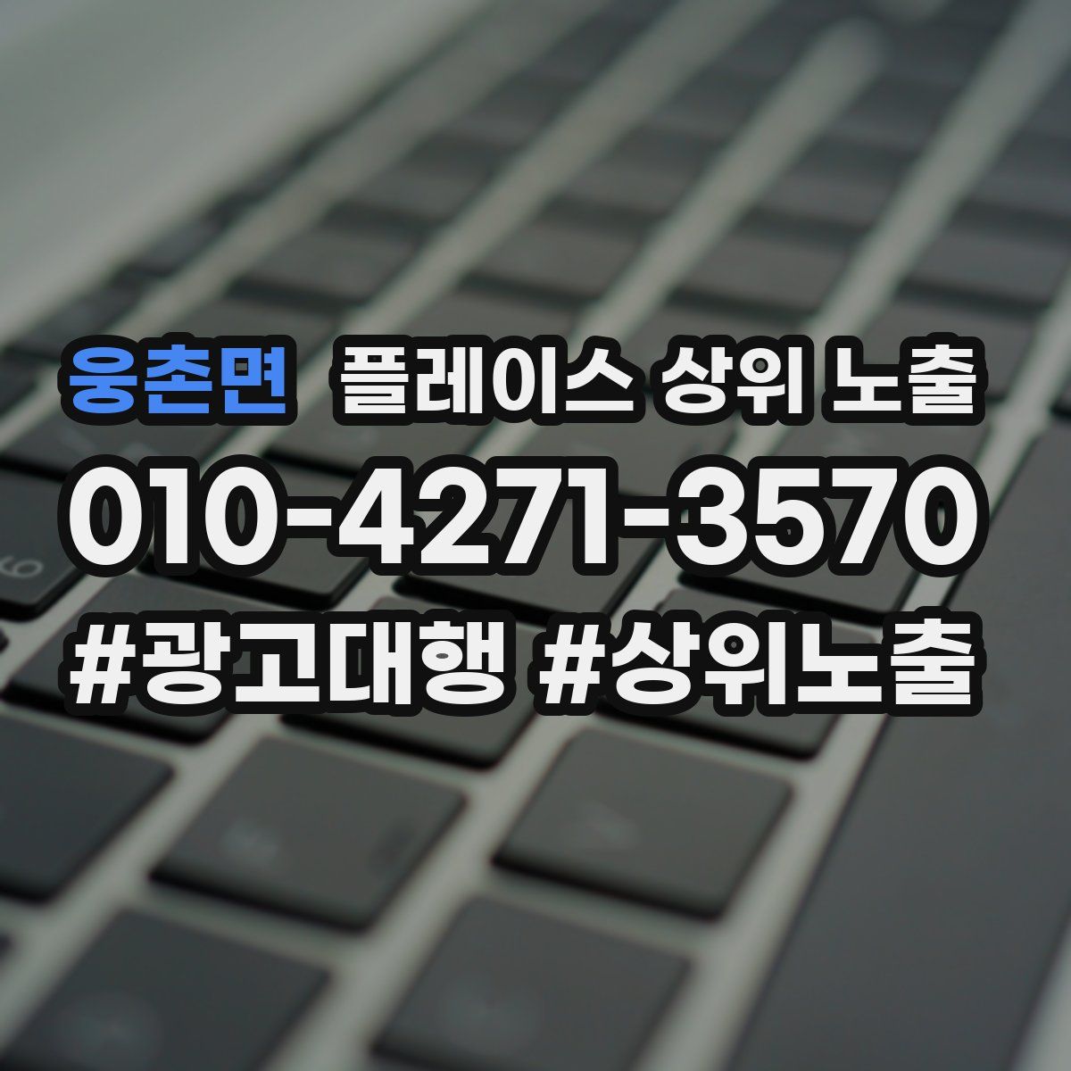 웅촌면 플레이스 상위 노출