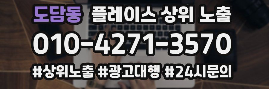 도담동 플레이스 상위 노출