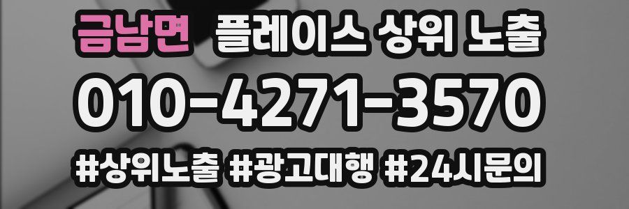 금남면 플레이스 상위 노출