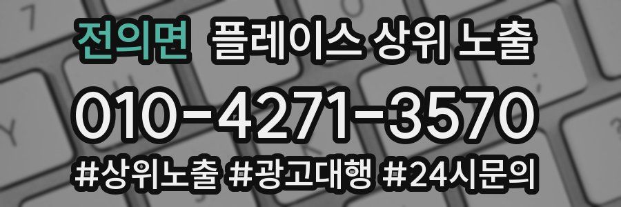 전의면 플레이스 상위 노출