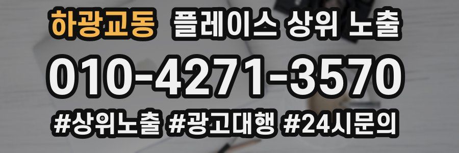 하광교동 플레이스 상위 노출