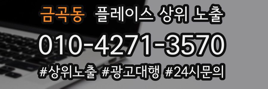 금곡동 플레이스 상위 노출