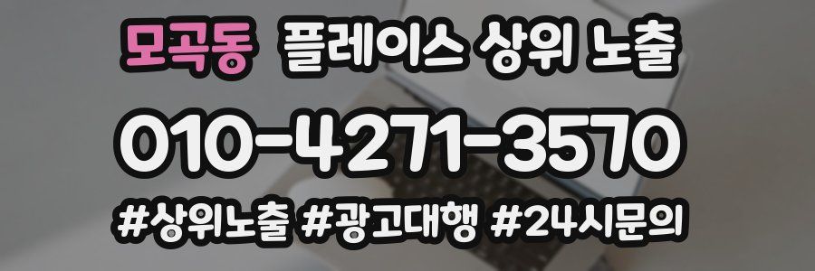 모곡동 플레이스 상위 노출