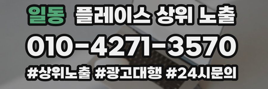 일동 플레이스 상위 노출