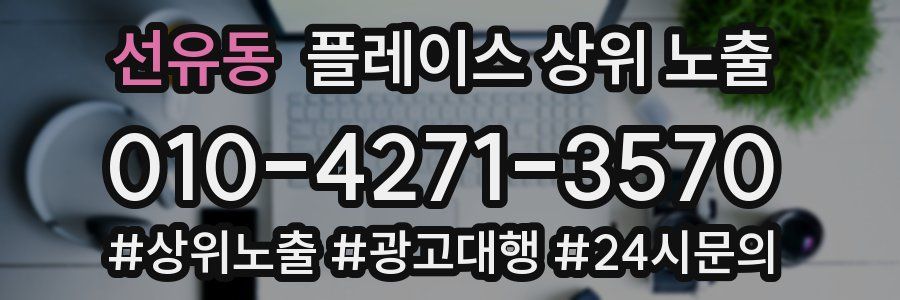 선유동 플레이스 상위 노출
