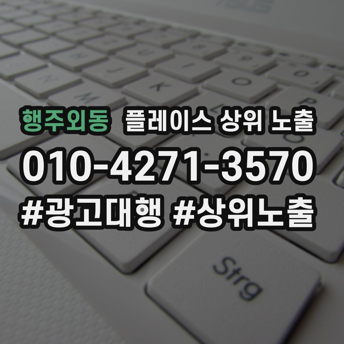 행주외동 플레이스 상위 노출