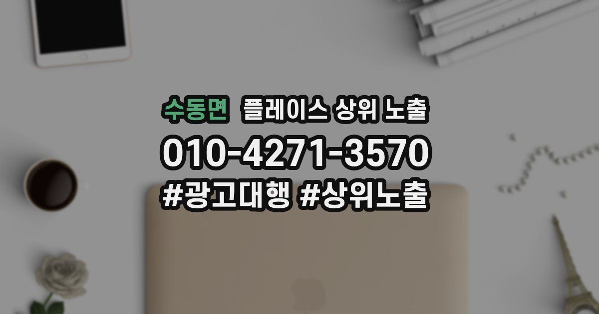 수동면 플레이스 상위 노출
