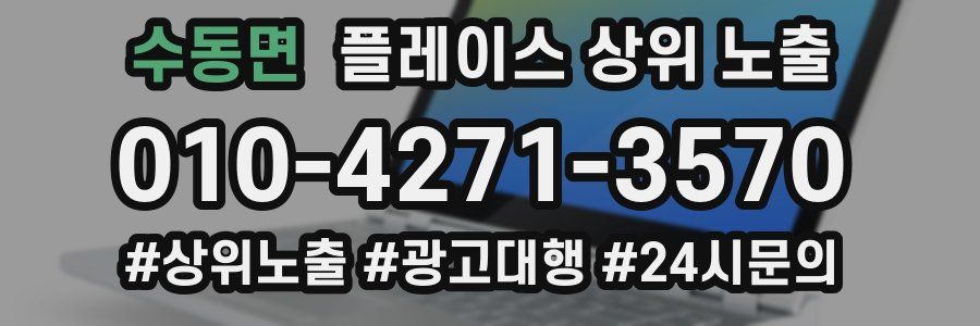 수동면 플레이스 상위 노출