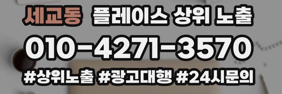 세교동 플레이스 상위 노출