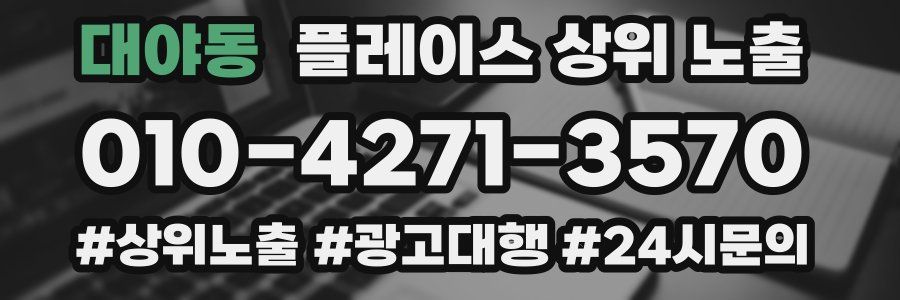 대야동 플레이스 상위 노출